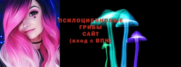 гидропоника Дубна