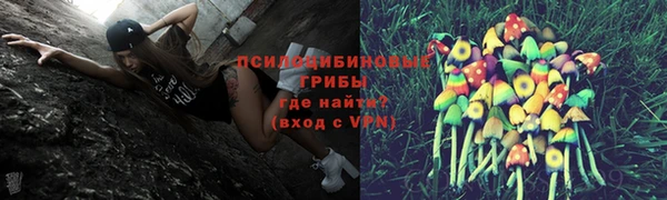 спиды Пестово