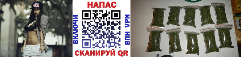 купить закладку  Киренск  shop наркотические препараты  Каннабис план 